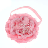 2017  Shipping  Girls kids headbands Elastic faixa de cabelo Flower Hair accessories Photography Prop Band Headbands #LWN